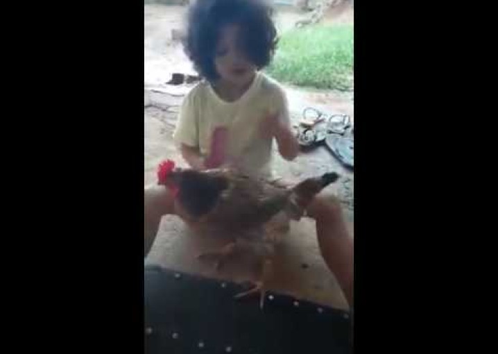Девочка рассмешила Интернет, сделав маникюр курице