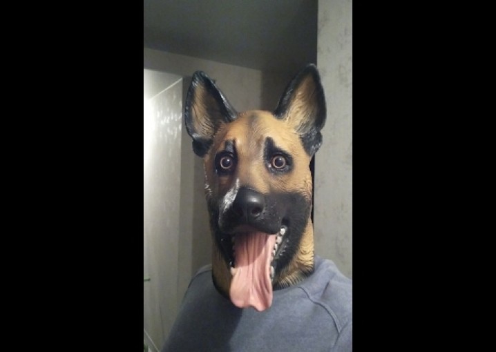 Очень реалистичная маска собаки из Китая