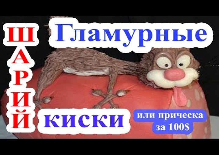 Шарий Александр: Гламурные киски или прическа за 100$